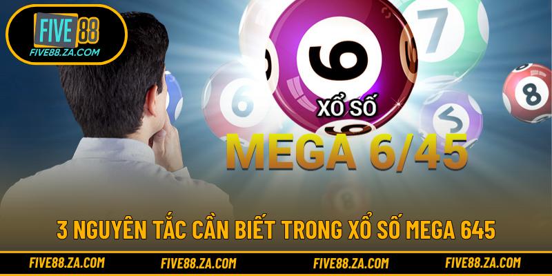 3 nguyên tắc cần biết trong xổ số Mega 645