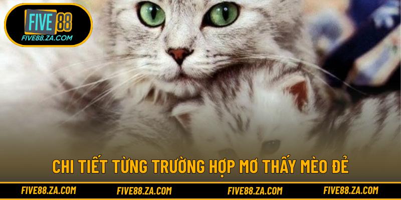 Chi tiết từng trường hợp mơ thấy mèo đẻ