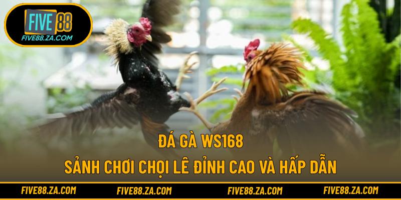 Đá Gà WS168