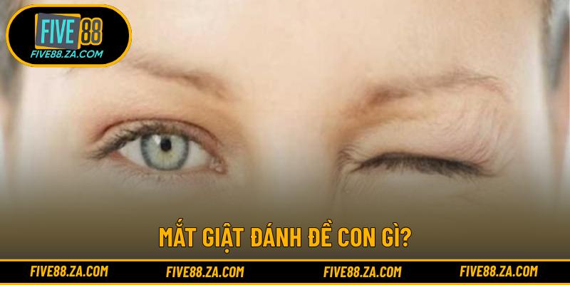 Mắt giật đánh đề con gì?