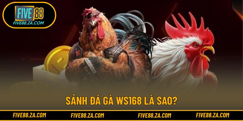 Sảnh đá gà WS168 là sao?