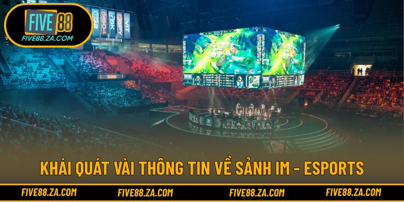 Khái quát vài thông tin về sảnh IM - eSports