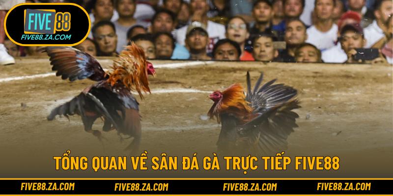 Tổng quan về sân đá gà trực tiếp FIVE88